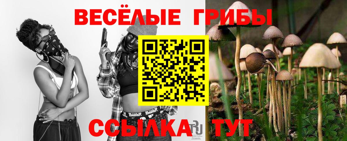 Галлюциногенные грибы прущие грибы Кунгур