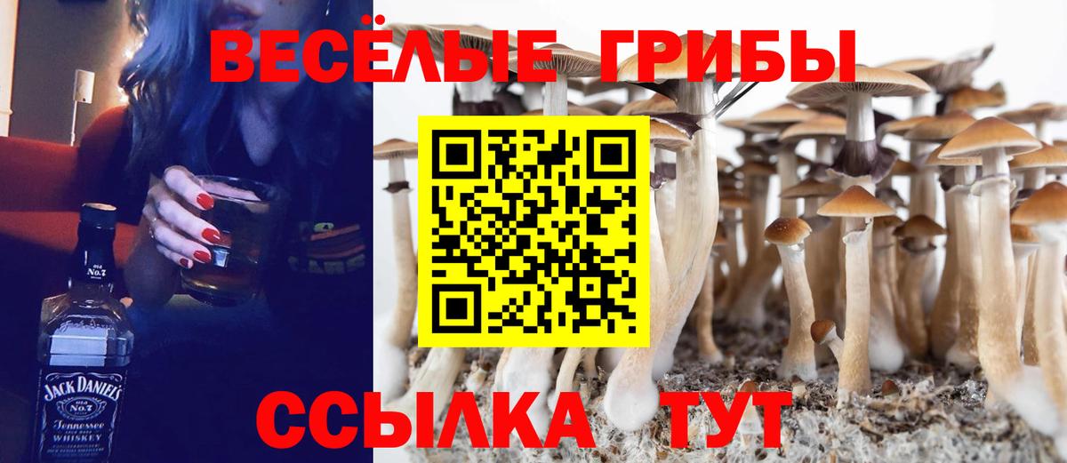 Псилоцибиновые грибы прущие грибы  Вход с VPN  Кунгур 